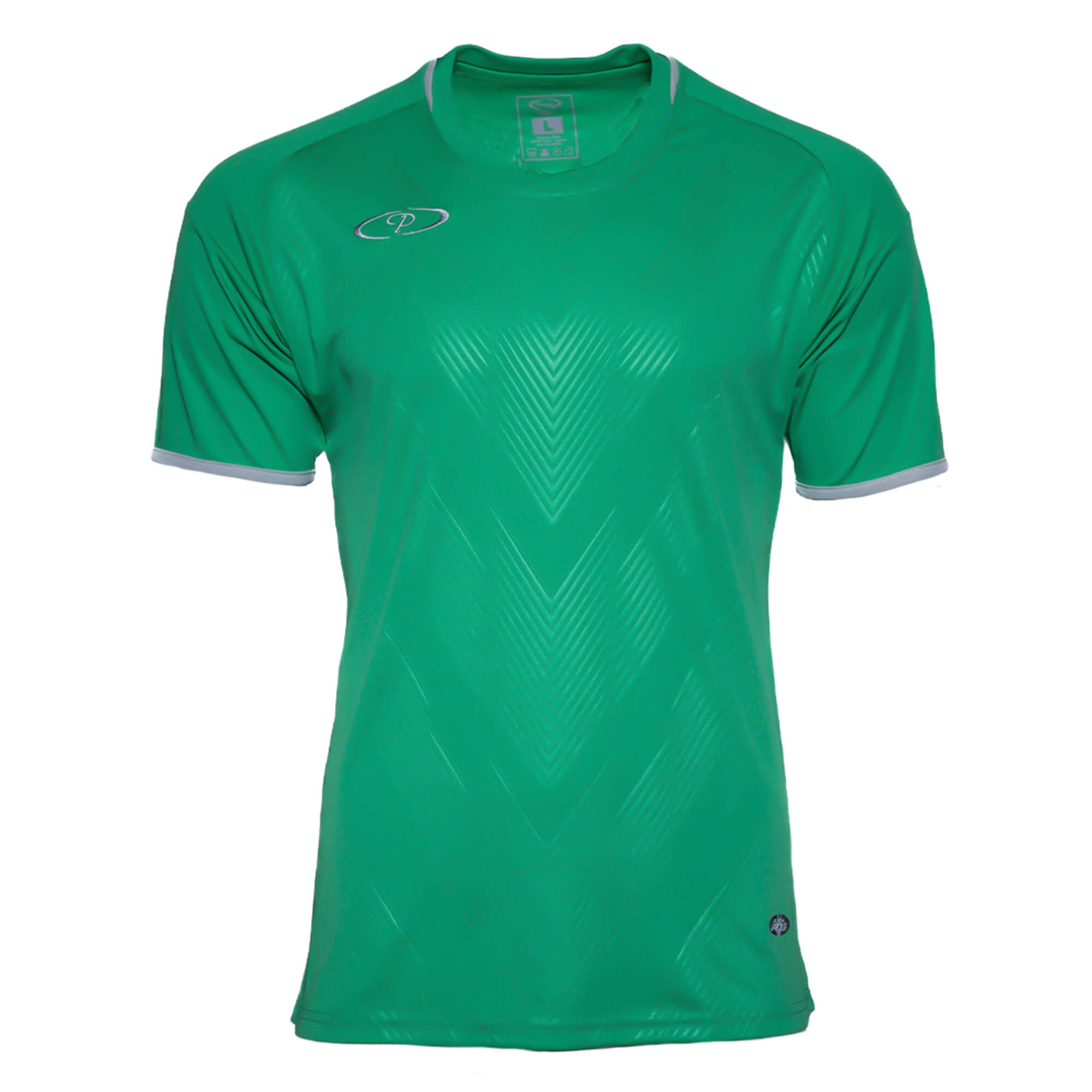 Premier Celtic Training Shirts