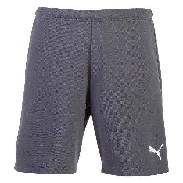 Puma_Team_Rise_Shorts_Grey_White