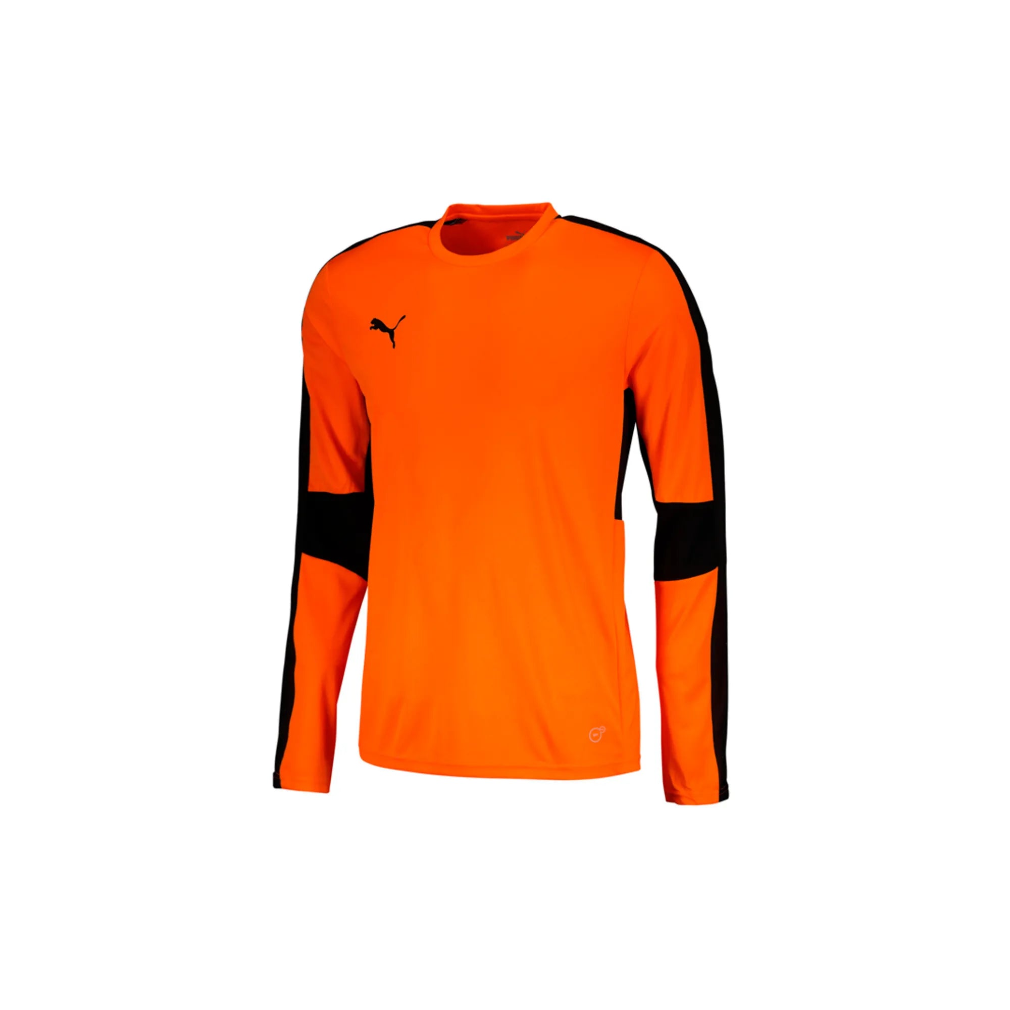 Puma Forever Faster Goalkeeper Jersery
