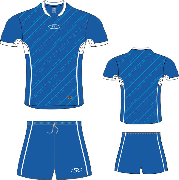 DPS301