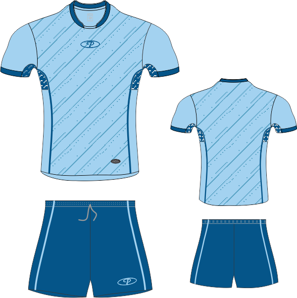 DPS313