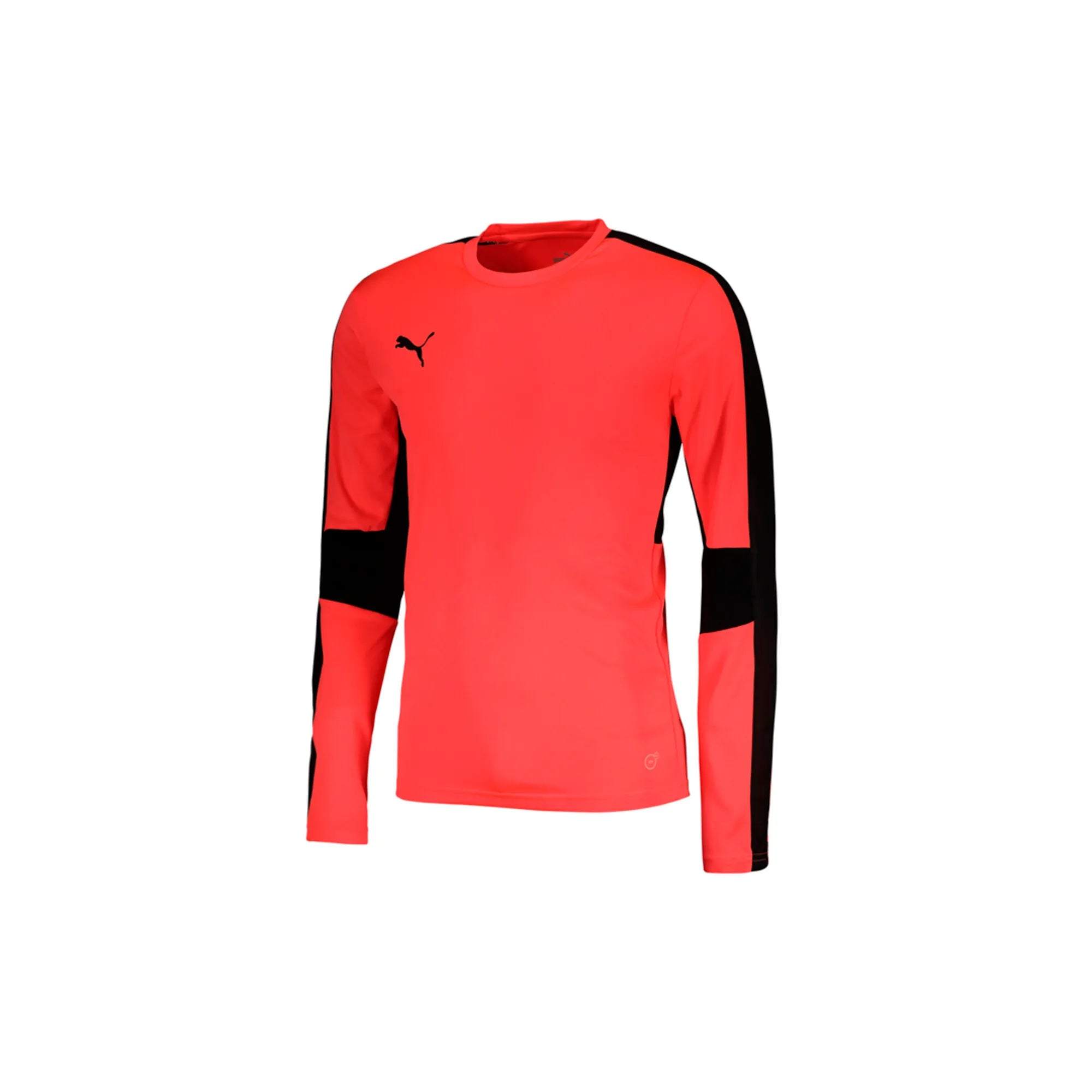 Puma Forever Faster Goalkeeper Jersery